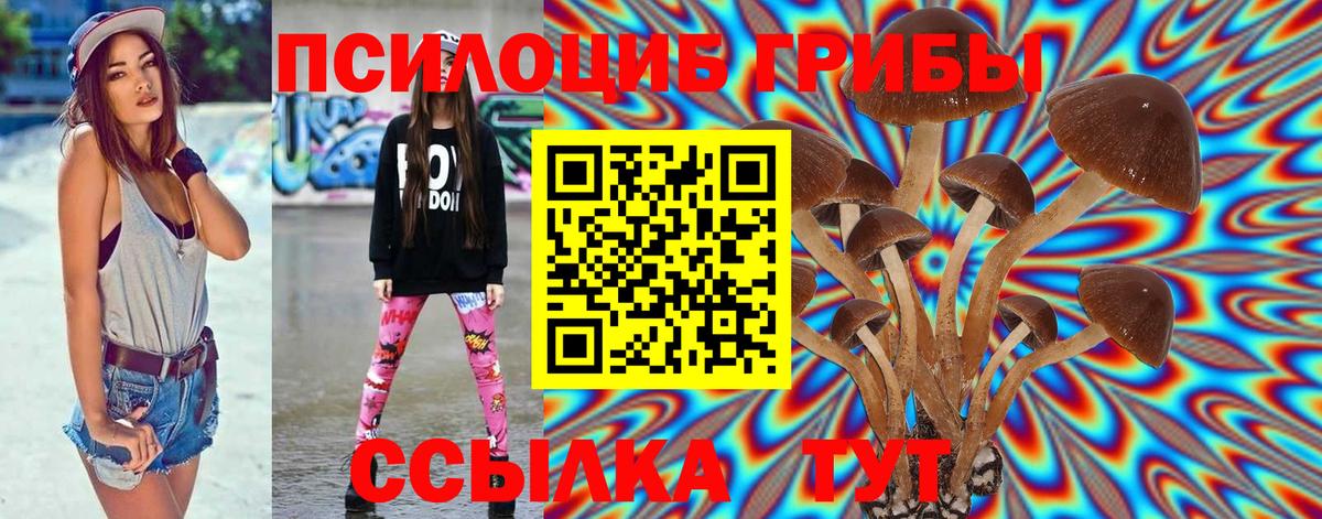 Псилоцибиновые грибы мицелий Иваново