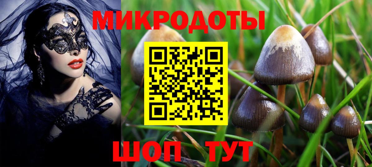 Псилоцибиновые грибы мухоморы  Галлюциногенные грибы мухоморы  Иваново  закладки  Вход с VPN 